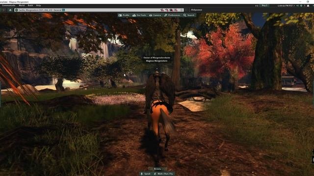 Walk through my castle