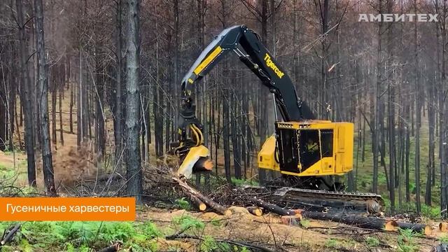 Сортиментная техника Tigercat