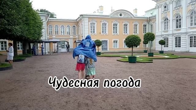 Лошадка гуляет по Петергофу #юмор #петергоф #смешноевидео #дети #детиюмор #детишутят