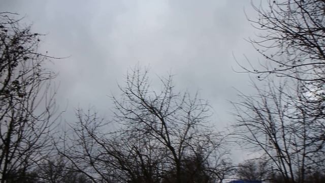 ЗРЕЛИЩЕ НЕ ДЛЯ СЛАБОНЕРВНЫХ / ЧТО ТАКОЕ ВИН / ГОТОВИМСЯ К СТРОИТЕЛЬСТВУ НАВЕСА