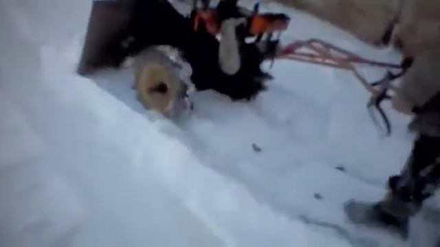 Мои други, город шимановск