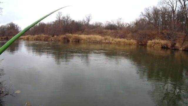 Рыбалка на реке на поплавок в ноябре. отчет за 8 ноября