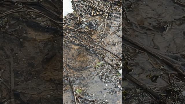 девяносто четвёртый день