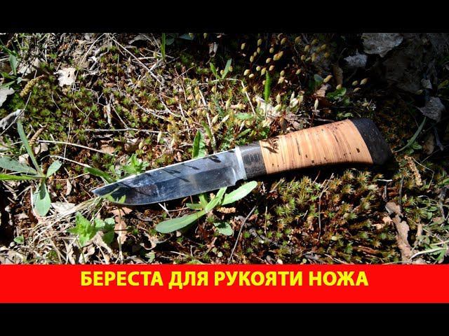 Береста для рукояти ножа