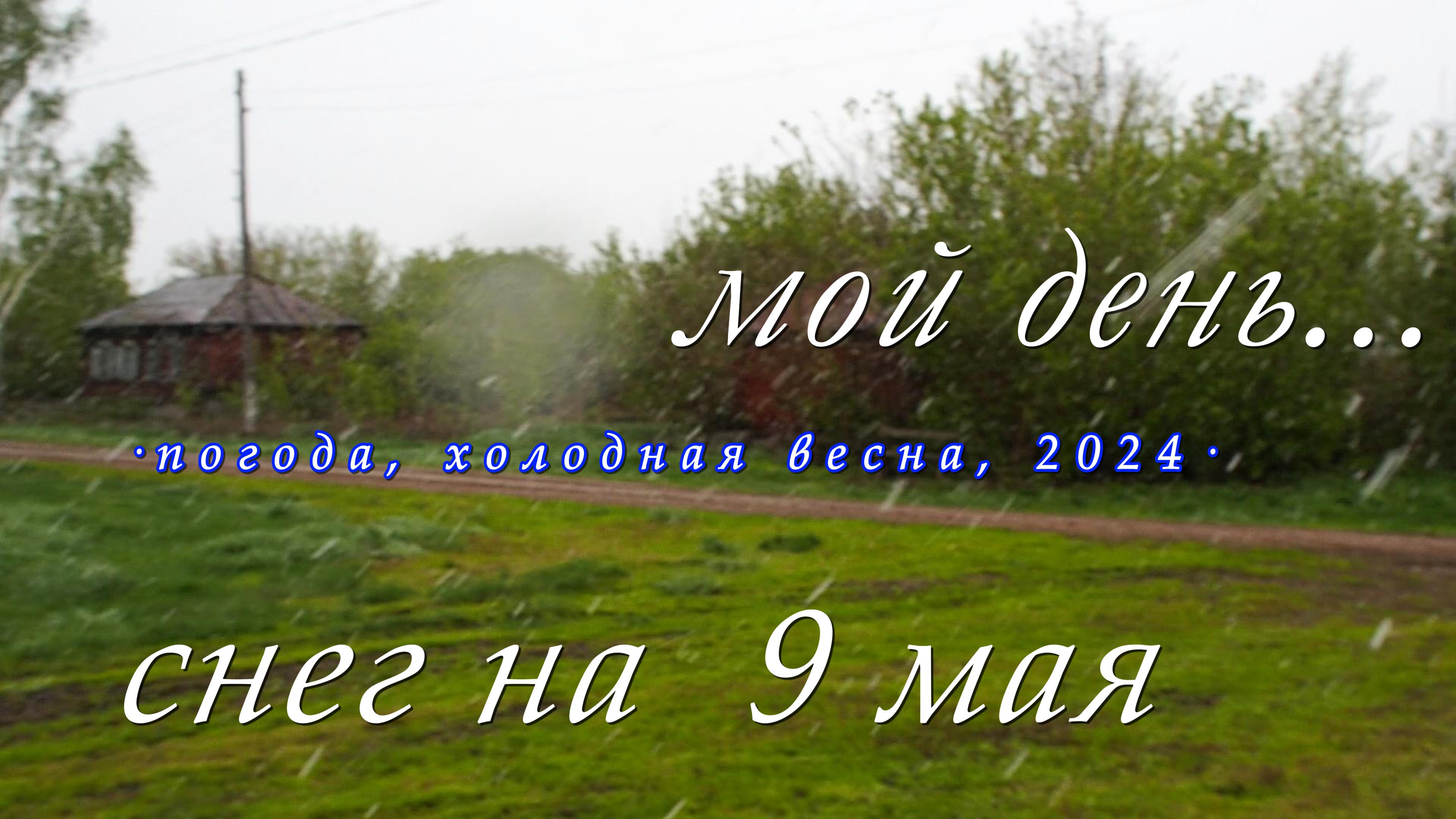 Погода, белое на зелёном, мой день в деревне, весна 2024