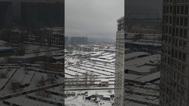завтрак Цветы на снегу