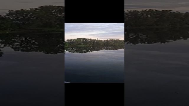 VID_20230614_205754.mp4