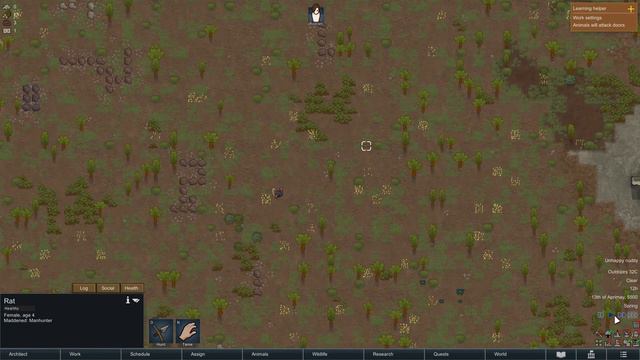 Surviving with NOTHING - RimWorld Naked Brutality Gameplay