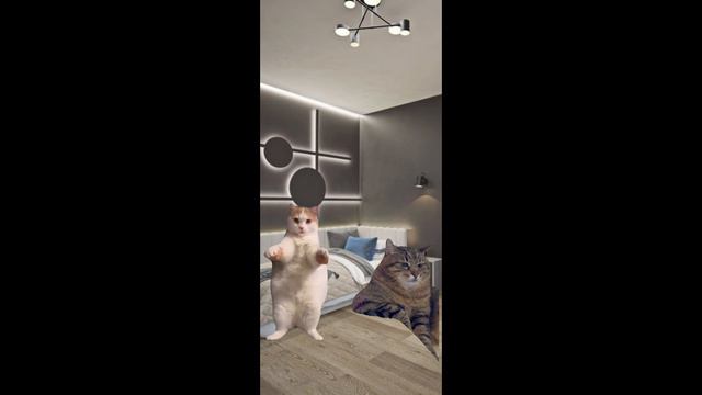Хехехемемкотики