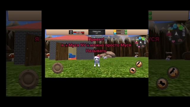 видео 0+ cat simulator animal Life 1 видео
