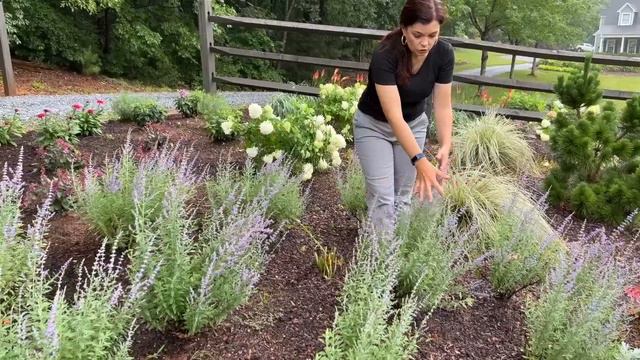 Epic Late Spring Garden Tour | Gardening with Creekside
