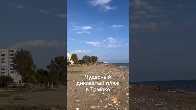 Много зелени на пребрежной территории // Татьяна Казак