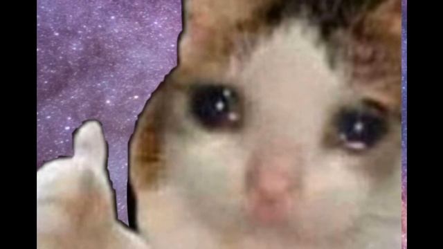 ЛЕСНОЙ МОНСТР СНЯТ НА КАМЕРУ В MELON PLAYGROUND