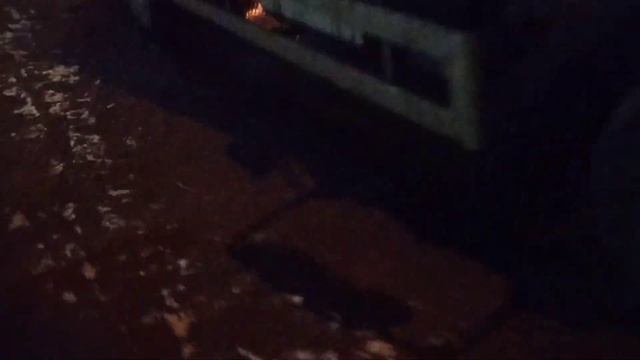 Архангельск прогулка по улице тимме 24.10.23