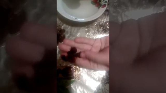 Вот  чем кормит нас ЯШКИНО