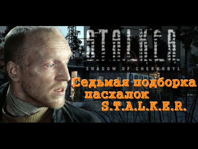 Седьмая 20-ка пасхалок и багов S.T.A.L.K.E.R.