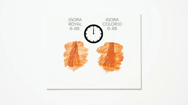 10 Minutes Development Time with IGORA COLOR10