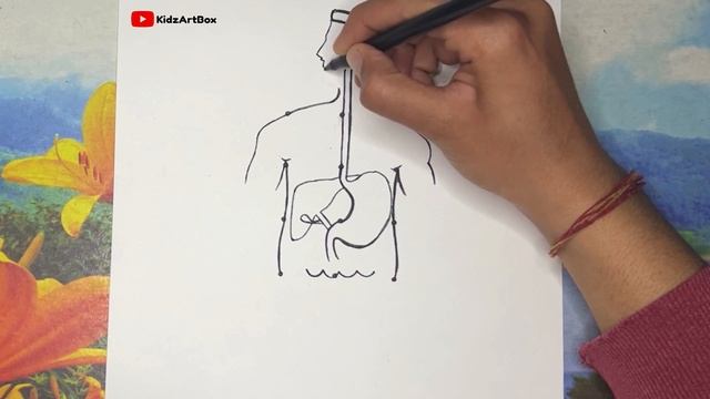 12 dots की मदद से human digestive system labelled diagram class 10 || मानव पाचन तंत्र चित्र