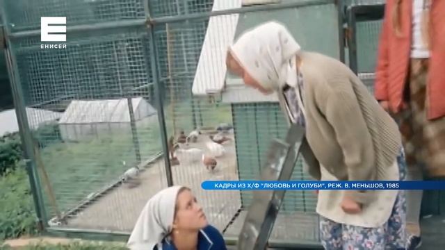 Житель Красноярска разводит десятки пород домашних голубей