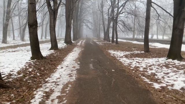 Почки и забота о них .