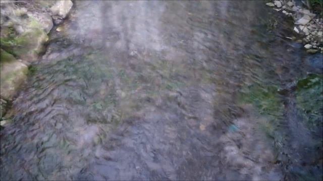 Кумыкские супруги любуются красотами Люксембурга.ПУТЕШЕСТВИЯ.Г.Эйшен Люксембург.19.04.2014.Дагестан