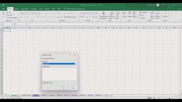 Worksheets in Excel | Be master in handling Worksheets in Hindi