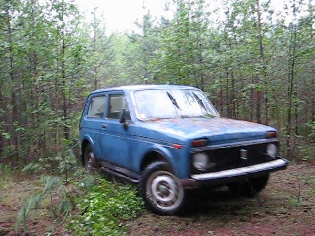 нива лес1