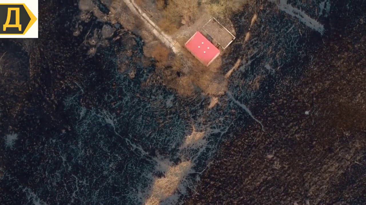 Последствия пожара 2019 в Днестровских плавнях