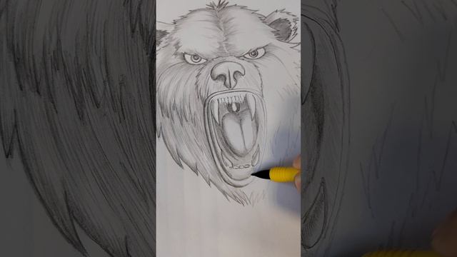 Медведь #рисунок #медведь #арт #скетч #illustration #sketch