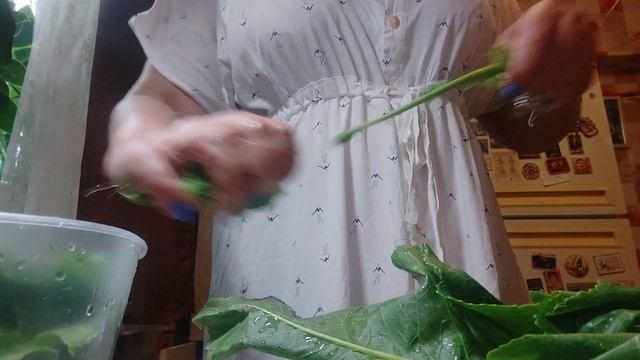 Приправа из листьев хрена