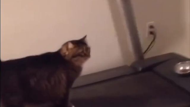 Моя мотивация