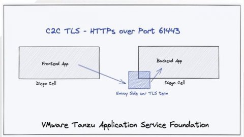 VMware Tanzu Application Service 2.13 Feature Deep Dive: Container-to-Container TLS