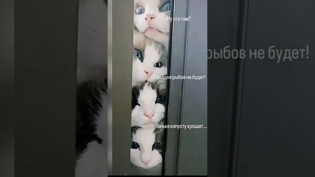 Ну чего том видно?)