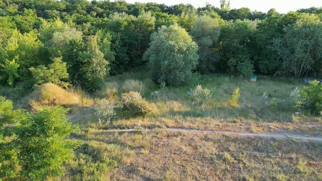 Dji Mini 3 Pro - Kamera Einstellungen