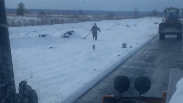 Охота на зайца с Remington. The hunting of the hare with the Remington.