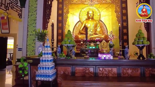 2024 Mở Kinh Cầu An Giải Hạn MẸ QUAN ÂM CHE CHỞ Tai Qua Nạn Khỏi TIỀN VÀO NHƯ NƯỚC