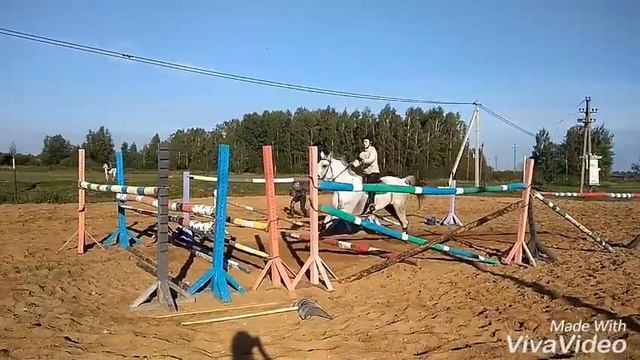 Диспут.На мощность.145 см