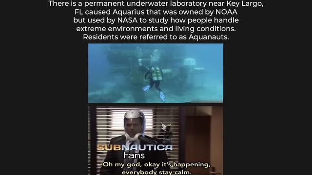 SUBNAUTICA MEMES 9