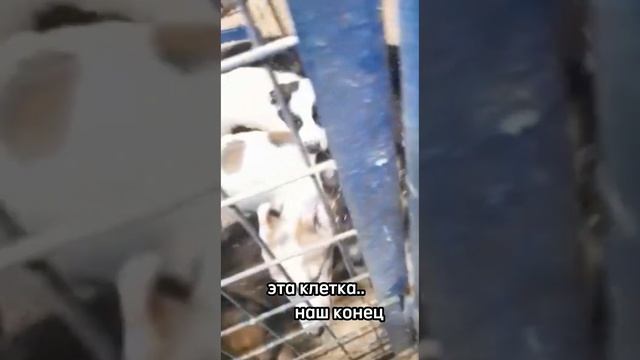 ? ПОСМОТРИТЕ В МОИ ГЛАЗА...