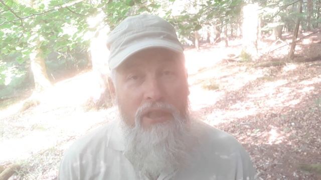 Что делать со сном?