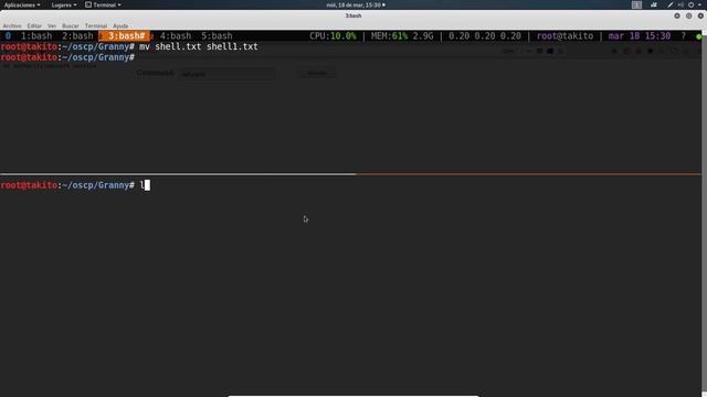 Preparación OSCP: Día 23 - Granny (HackTheBox)