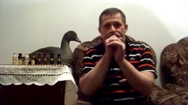 Манок, это маленький музыкальный инструмент.MOV