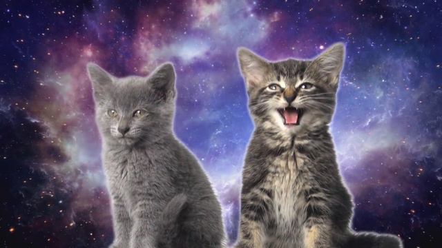 Space Cats - Magic Fly