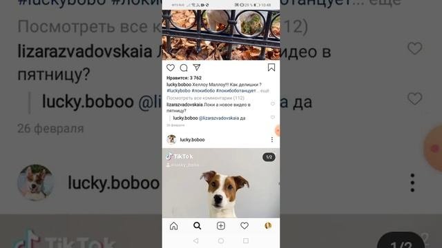 Фото локи бобо в инстаграме # Loky Bobo