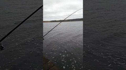 Как надо ловить рыбу.