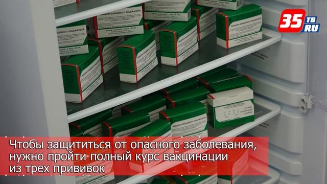 Первый в этом году случай укуса клеща зарегистрировали медики в Вологде