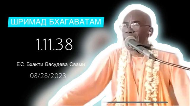 Как остаться не затронутым материальной природой? - 08/28/2023. Е.С. Бхакти Васудева Свами.