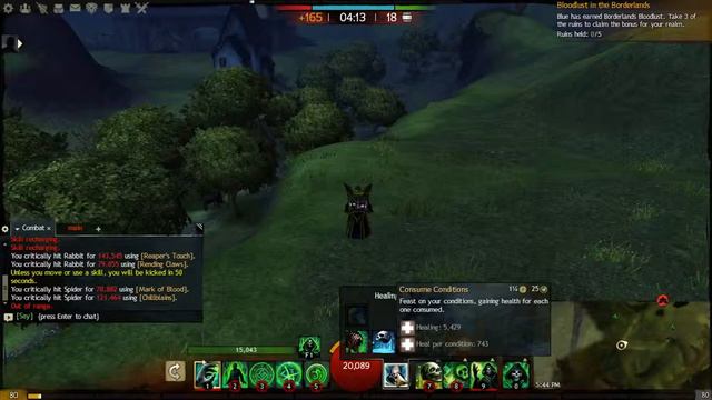 Guild Wars 2 Zerker Necro