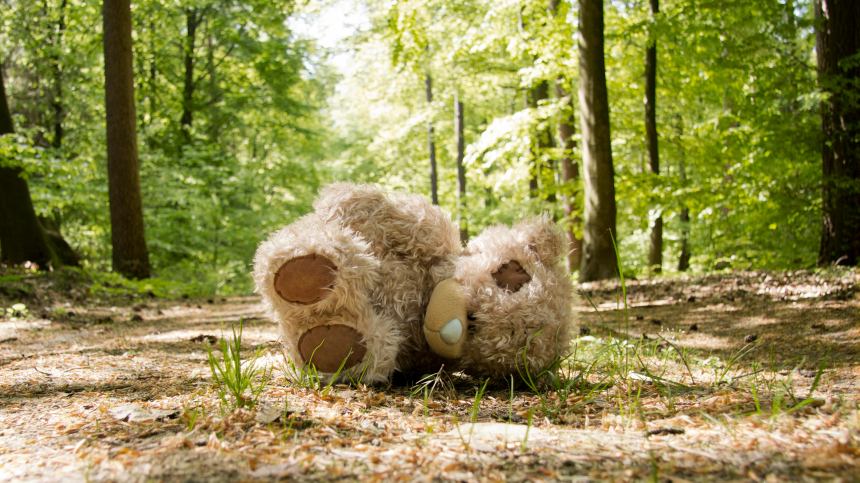 Двух пропавших в лесу детей ищут в Свердловской области