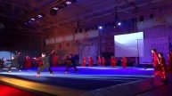 Ушу на Турнире по спортивной гимнастике.